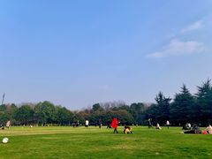 -青枫公园