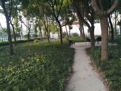 球场-体汇+名都体育公园足球场
