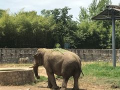 -西安秦岭野生动物园