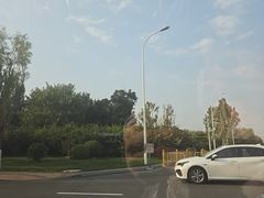 -花和海鲜自助(梅江店)