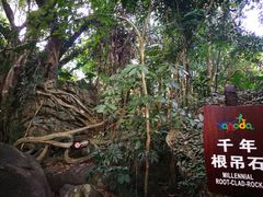 -呀诺达热带雨林