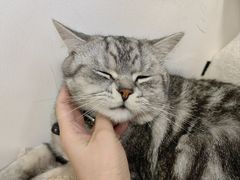 -伽利略剧本探案馆(国贸店)