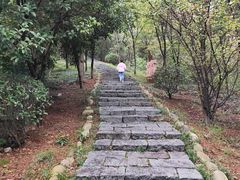 -游子山休闲旅游区