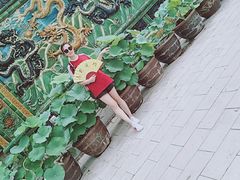 -白洋淀景区