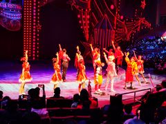 -珠海横琴长隆《卡卡虎奇遇记》