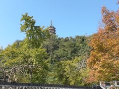 -焦山风景区