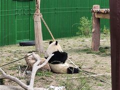 -沈阳森林动物园