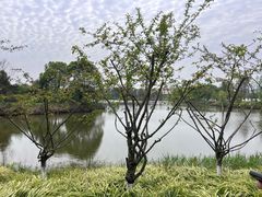 -东湖落雁景区