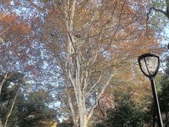 -南京特殊教育师范学院(燕子矶校区)