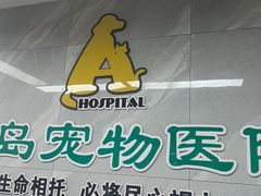 -半岛宠物医院24小时(白果林店)