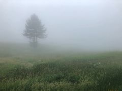 -驼梁风景区