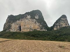 -明仕田园