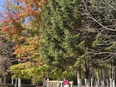 -长春世界雕塑园冰雪艺术天地