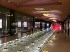 -青岛贝壳博物馆