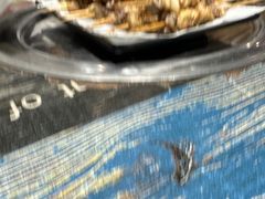 -红岸碳烤齐齐哈尔原味生态烤肉