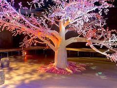 -江宁织造博物馆