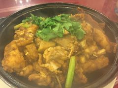 龙斑鱼煲-天福海鲜酒楼·闽菜海鲜·宴请聚会(五四路店)