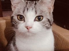 -中影新星影城(万科锦程店)