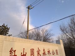 -红山国家森林公园
