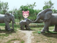 -武清南湖绿博园