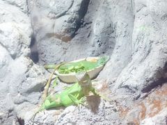 -洛阳龙门海洋馆