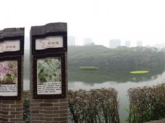 -重庆彩云湖湿地公园