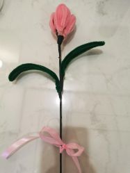 -保丽宝泰母婴护理院·月子中心·产康·中医(常州店)