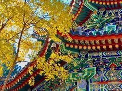 -香山公园