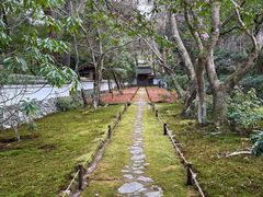 -西芳寺(苔寺)
