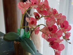 -楚禾宴·家宴(光谷大道店)