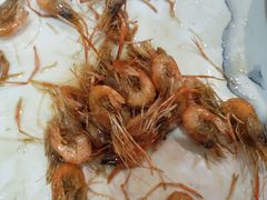 本帮油爆虾-长兴菜馆(高桥店)