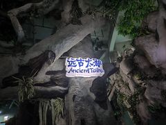 -苏州海洋馆