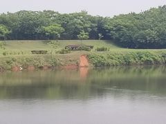 -盘龙城国家考古遗址公园