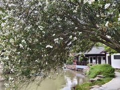 -东渡苑景区