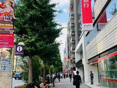 -秋叶原电器街
