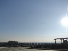 -厦门国际会议中心酒店(环岛路酒店)