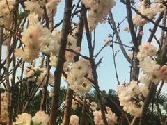 -观澜湖生态运动公社