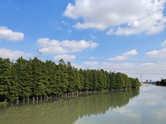 -嘉北郊野公园