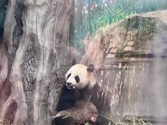 -苏州太湖国家湿地公园