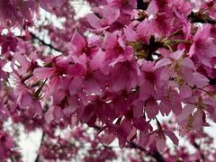 -艾溪湖湿地公园