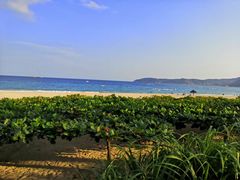 -三亚亚龙湾天域度假酒店