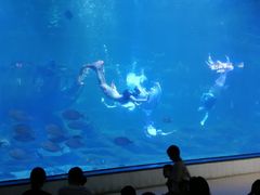 -福州罗源湾海洋世界旅游区