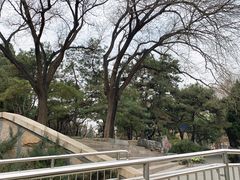 -玲珑塔公园