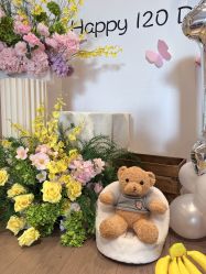 -苏派宝宝生日宴·求婚策划·气球派对布置(园区店)