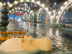 -清河半岛温泉度假酒店