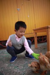-前小桔亲子创意农场·草莓采摘·露营烧烤