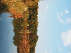 -南湖湿地公园