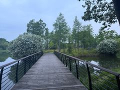 -尚贤河湿地