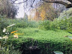 -成都中医药大学(温江校区)