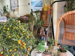 -花落谁家(景瑞曦城店)